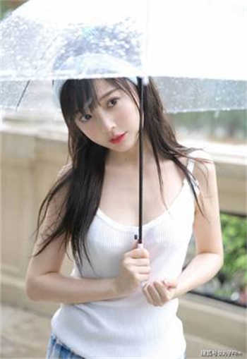 沙场军王叶城柳昭晴小说