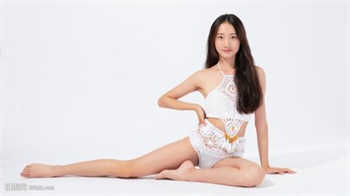 野狗和大美人txt宝