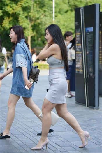 麻豆经济开通会员有什么用