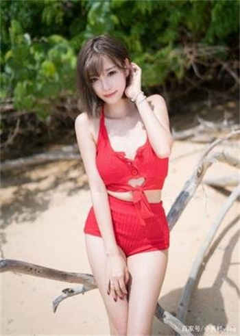 下载安卓软件菊花