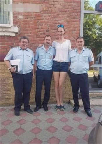 耕丈母娘的地小说