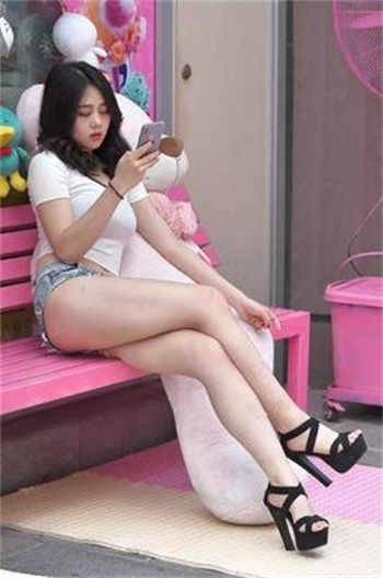 用系统教学生的小说