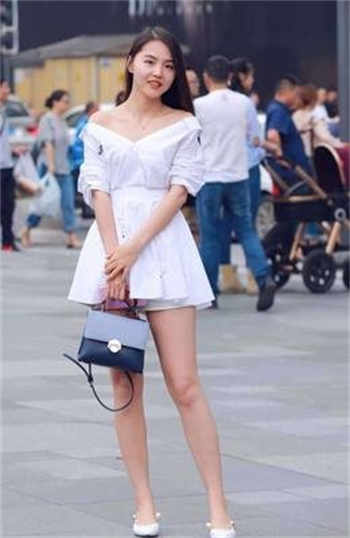 神奇宝贝后宫系统